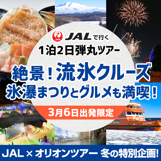 層雲峡氷瀑ツアー（東京発）