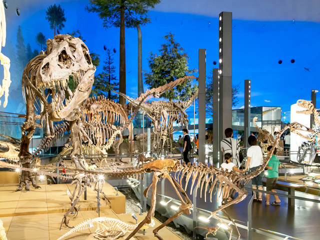 JALで行く！福井県立恐竜博物館入館引換券付！世界三大恐竜博物館のひとつとして、恐竜全身骨格やジオラマ、大迫力の復元模型などで大人気。