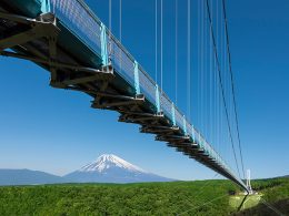 空気が澄むほど、富士が輝く！三島スカイウォークの癒し絶景＆いちご狩り食べ放題！関東を代表とするパワースポット「箱根神社」と歴史の息づく“旧東海道”をバスで巡る贅沢日帰りバスツアー