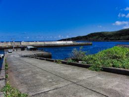 野生のイルカと泳ぐことができるスポットとして有名。
2000年に起きた噴火により全島民が非難しましたが、現在は観光も再開され、釣り、ダイビング、バードウォッチング等を楽しむお客様が多数来島しています。