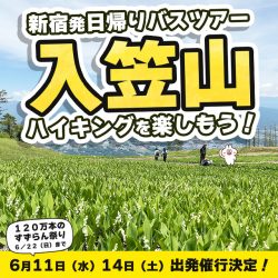 【新宿発】入笠山ハイキング日帰りバスツアーで行こう！