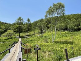 四季折々の花々や手つかずの自然を満喫できる自然の宝庫！
季節を感じる360度の大パノラマをお楽しみください。