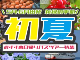 初夏特集-2026-