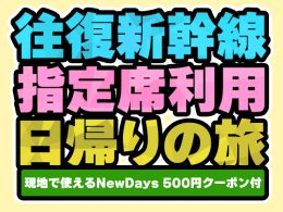手軽に観光を満喫できる日帰りツアーをご用意！名所巡りやグルメを楽しみながら、旅の思い出を作ろう！