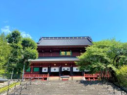 パワースポット日光！オリオンツアー限定の短冊で星祈願＆フルーツ狩りは、季節によって【桃】または【巨峰】をご用意！
さらに、日光名物「天然氷のかき氷」スイーツ付き♪ 贅沢な涼を味わう、ひんやり冷たい至福のおやつタイム♪
