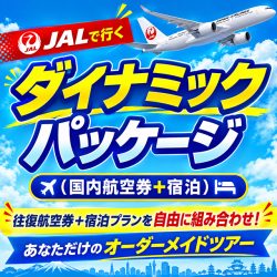 ダイナミックパッケージ説明ページ（1カラム）