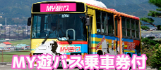 【高知】観光を巡るのに便利なバス乗車券付