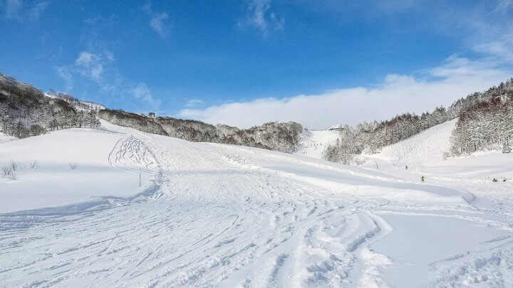 東京 首都圏から日帰りで気軽に行けるおすすめ人気スキー場12選 スキーnavi