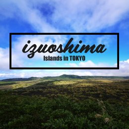 東海汽船で行く伊豆大島ツアー特集