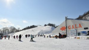 リフトゴンドラ1日券×4回分 Mt.Naeba 2025年 ユーミン 苗場 2025 チケット発売 | 松任谷由実 SURF&SNOW in