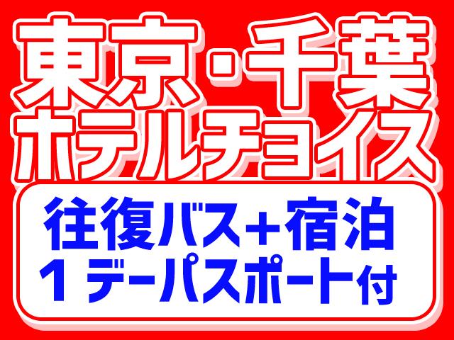 Hd限定ディズニー ホテル チケット付き 2day 新幹線 ディズニー画像