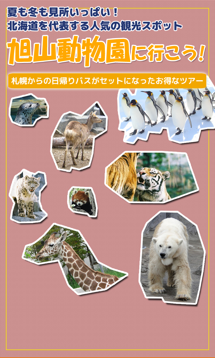 大人気旭山動物園 オリオンツアー 大人気旭山動物園 オリオンツアー