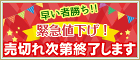 売切れ次第終了します