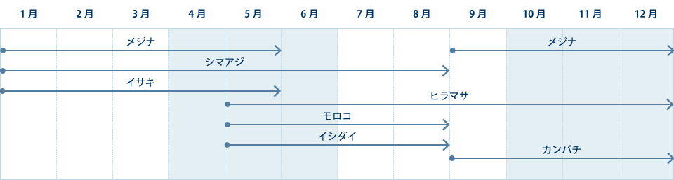 神津島で釣れる 年間魚カレンダー