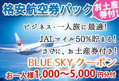 お得なBLUESKYクーポン付 