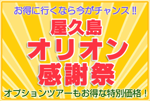 屋久島オリオン感謝祭！