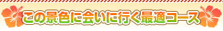 この景色に会いに行く最適コース