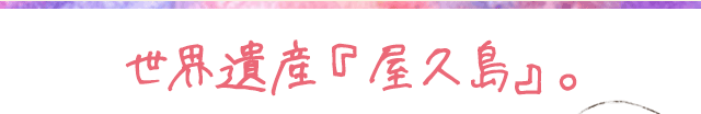 3・4日間 世界遺産『屋久島』。