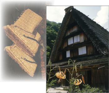 旧遠山家民族館 (国指定重要文化財)