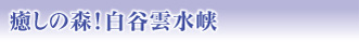 癒しの森!白谷雲水峡