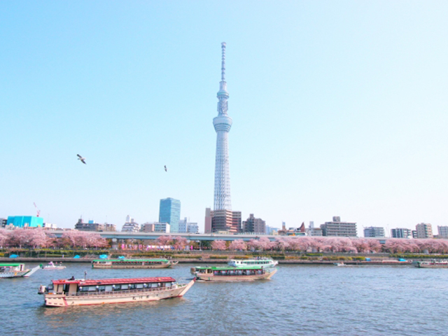 東京スカイツリー R バスで行く東京旅行特集 格安旅行ならオリオンツアー