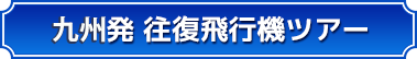 福岡発 往復飛行機ツアー 