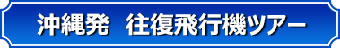 沖縄発 往復飛行機ツアー 