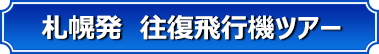 沖縄発 往復飛行機ツアー 