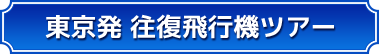 東京発 往復飛行機ツアー 