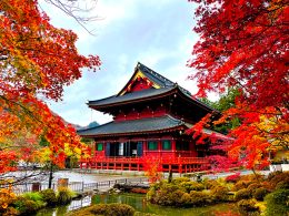 世界ギネス記録に認定された大迫力の「世界最大の田んぼアート」をお楽しみください☆
さらに!豚のテーマパークでのランチからオリオンツアー新登場!発酵のテーマパークまで♪埼玉の魅力盛り盛りバスツアー★