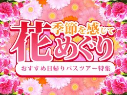 季節を感じて！花めぐりおすすめ日帰りバスツアー特集