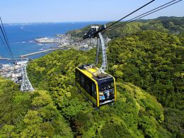 《毎年、秋の人気コース!TV・メディア紹介多数!》房総うまいもの巡り♪海鮮浜焼食べ放題!酒蔵見学&はちみつ採取の見学!