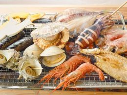 【2025年4月28日（月）フジテレビ｜Live News イット！にて紹介コース】
【2024年4月17日・5月1日（水）日本テレビ｜ヒルナンデス！にて紹介コース！
富士山周辺をぐるっと周遊！360度の絶景「十国峠」×漁業の街、沼津で海鮮浜焼き食べ放題＆みかん狩り食べ放題！バスツアーならではの充実コース♪