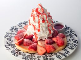＜ゆっくり出発＞女子旅にぴったり♪いちご狩り食べ放題＆いちごの天使のミニパンケーキ贅沢にＷ満喫！澄んだ空気に包まれた冬だからこそ美しい！500万球の輝きあしかがフラワーパーク★