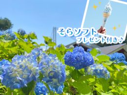 【2024年4月17日・5月1日（水）日本テレビ｜ヒルナンデス！で放送されました！】★☆富士山や他の山々を見渡せる絶景「十国峠」×漁業の街、沼津で海鮮浜焼き食べ放題！静岡名産のひとつ、みかん狩りも楽しめる盛りだくさんの日帰りバスツアー♪★⑩
