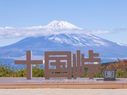 【2024年4月17日・5月1日（水）日本テレビ｜ヒルナンデス！で放送されました！】★☆富士山や他の山々を見渡せる絶景「十国峠」×漁業の街、沼津で海鮮浜焼き食べ放題！静岡名産のひとつ、みかん狩りも楽しめる盛りだくさんの日帰りバスツアー♪★☆