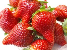 お待たせしました！栃木に行かなきゃ食べられない《とちひめ》狩り食べ放題♪日光では、世界遺産・日光の社寺の散策＆名物ゆばが楽しめる「牛すき鍋と三段せいろ」のご昼食！