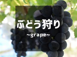 ぶどう狩り特集