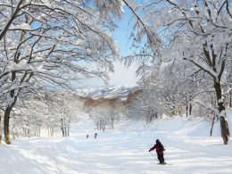 初級者から上級者まであらゆるレベルに対応できるバラエティに富んだスキー場！お子さま専用の雪あそびゲレンデもあり、スノーチュービングやエア滑り台、スノーストライダーを始め、アスレチックや雪合戦などをお楽しみいただけます♪