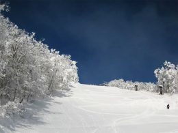 温泉＆スキー・スノボーを満喫できるスノーリゾート！