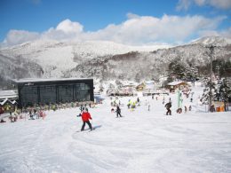 初心者からエキスパートまで楽しめる総延長3,200mのビッグゲレンデです。