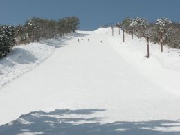 初・中級者向けコースが充実。初心者向けの広いゲレンデでファミリーにも人気です。
