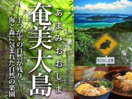 奄美大島特集！