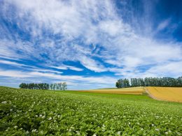 【北海道の周遊旅行に最適！】北海道内6空港＆ホテル・温泉宿を自由に組み合わせOK！チョイス フリープラン＆レンタカー付きプラン