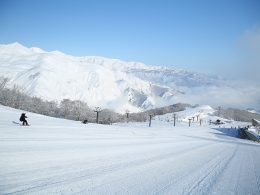 上質の粉雪とアルプスの絶景のスキーエリアが展開するエイブル白馬五竜スキー場＆多彩なコースとアイテム充実のスノーパークが魅力のHakuba47。