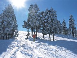 【自由席利用】新幹線で上越国際スキー場に行こう！『往復の新幹線』＋『リフト券』がセットになったお得なプラン！