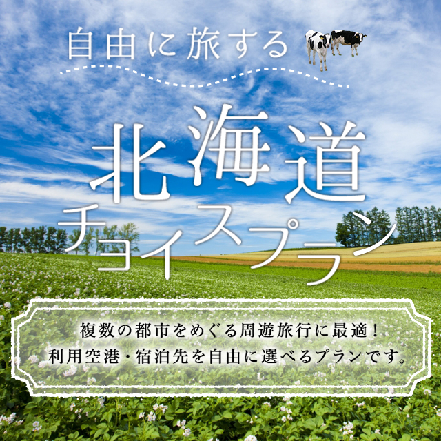 北海道の周遊旅行におすすめのフリープラン レンタカー付きプラン 北海道チョイスプラン 格安北海道ツアーならオリオンツアー 北海道の周遊旅行におすすめのフリープラン レンタカー付きプラン 北海道チョイスプラン 格安北海道ツアーならオリオンツアー