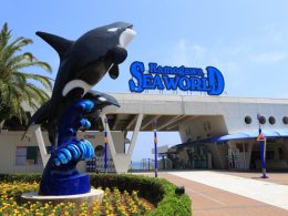 《２大テーマパークを満喫！》海の楽園【鴨川シーワールド】＆動物の楽園【マザー牧場】！