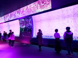 茨城での冬のお出かけにおすすめ♪スペシャルバックヤードツアーを開催！今回はちょっぴりプレゼント付き！バックヤード探検クイズツアーをご用意しました☆彡サメの飼育種類数日本一！「アクアワールド茨城県大洗水族館」たっぷり滞在！