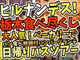 【2023年5月10日（水）・24日（水）日本テレビ｜ヒルナンデス！で放送されました！】大人気ベーカリー【ペニーレイン】レストランでオリオンツアー限定！ハンバーグプレート＆パン食べ放題♪あしかがフラワーパークのイルミネーションはテーマが3つに変化していきます！！